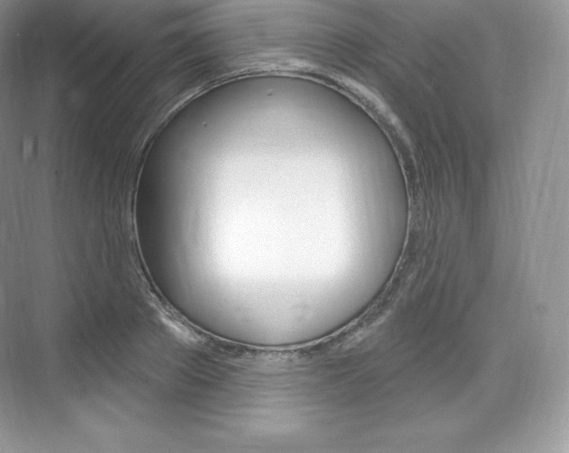 X0000073930889200608111023