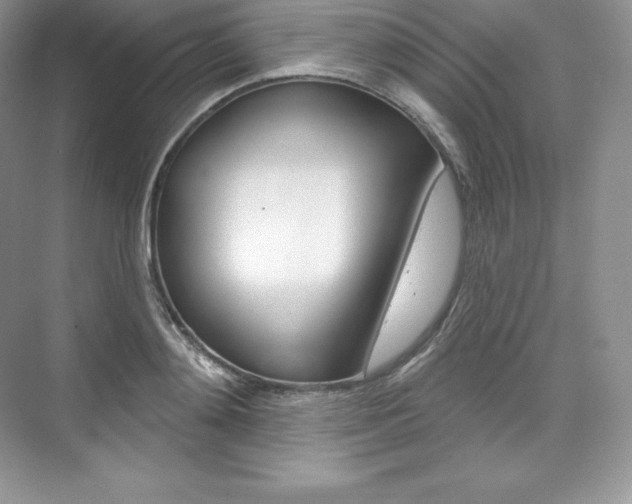 X0000073930892200608111023