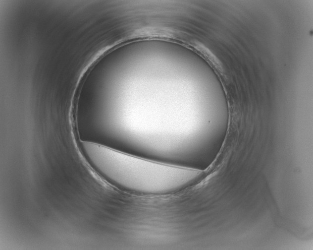 X0000073930893200608111023