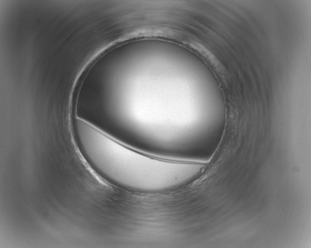 X0000073930894200608111023