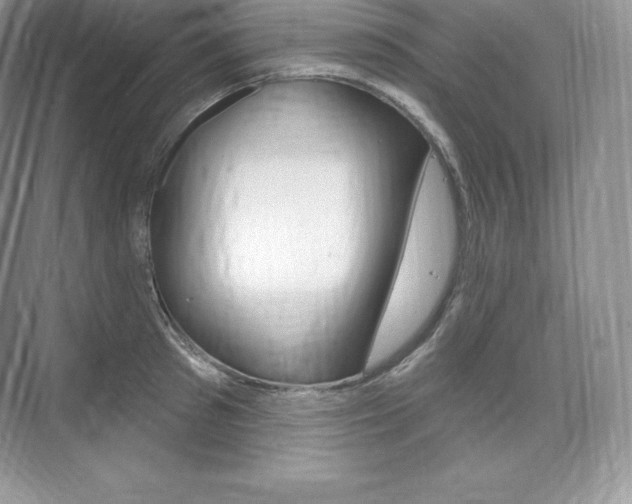 X0000073930897200608111022