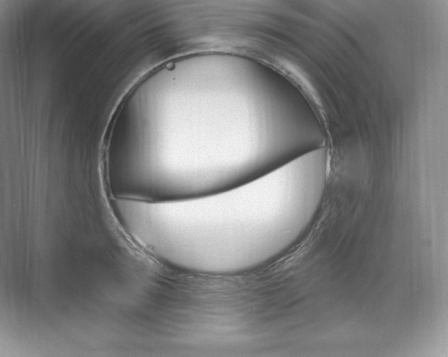 X0000073930899200608111022