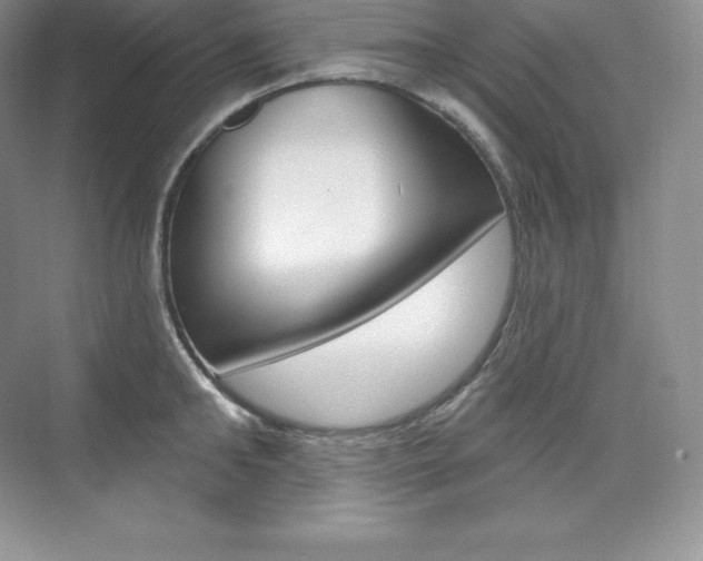 X0000073930902200608111022