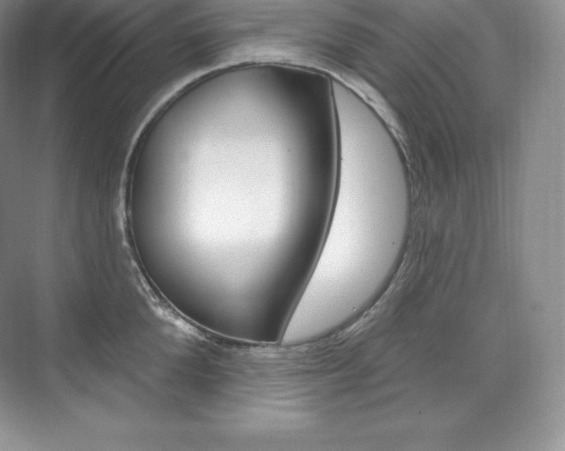 X0000073930904200608111022