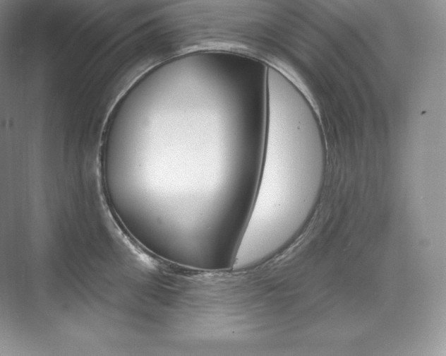 X0000073930906200608111022