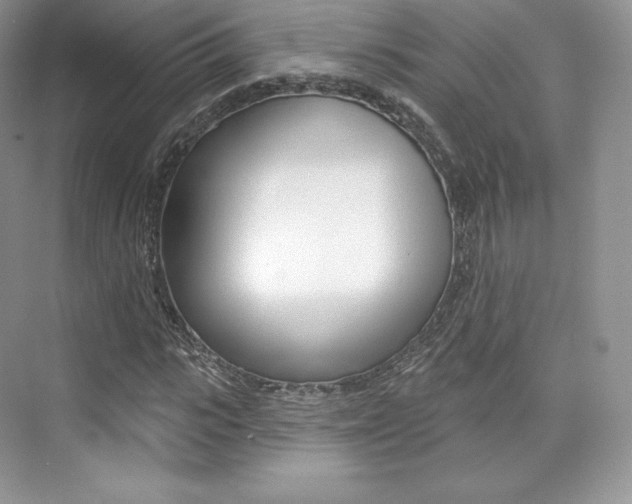 X0000073930919200608111022