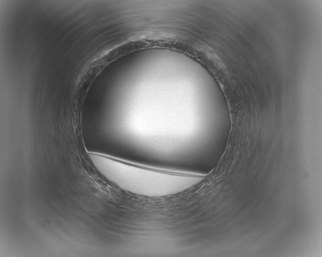 X0000073930920200608111022