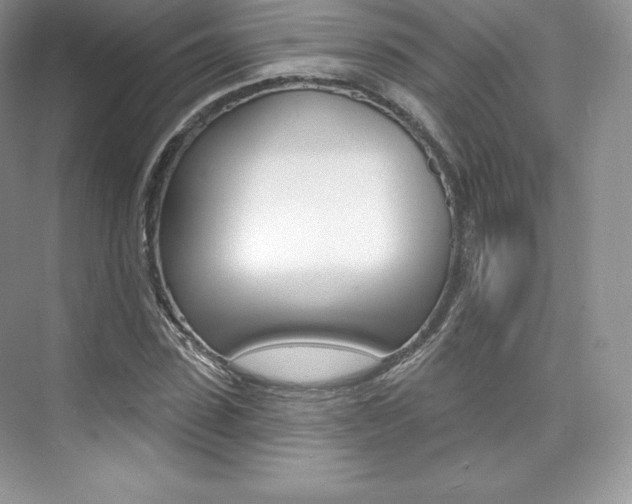X0000073930923200608111022