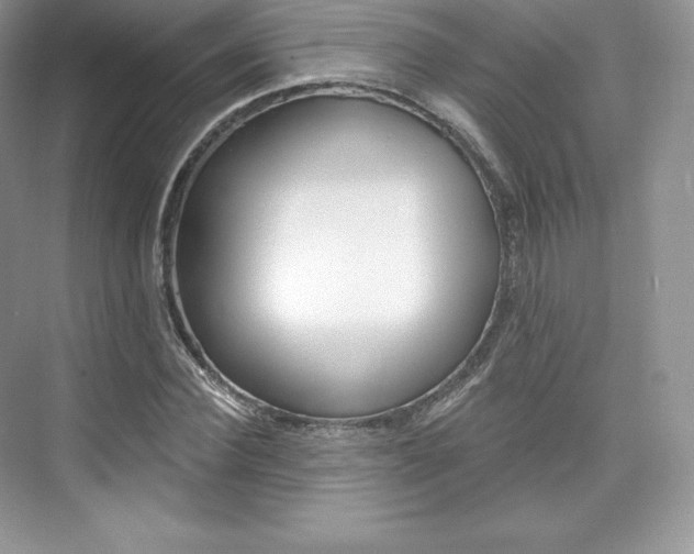 X0000073930924200608111022