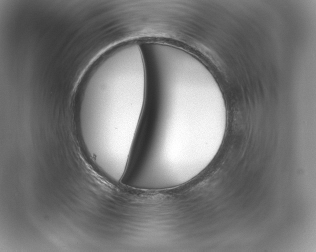 X0000073930926200608111022