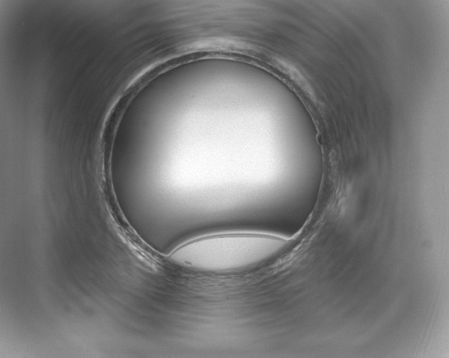 X0000073930931200608111022