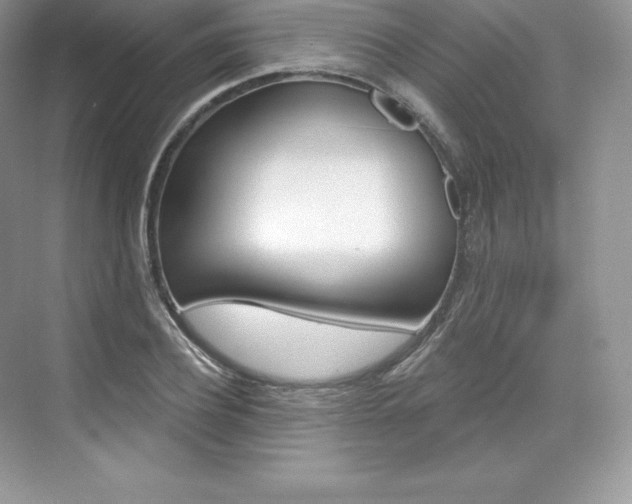 X0000073930932200608111022