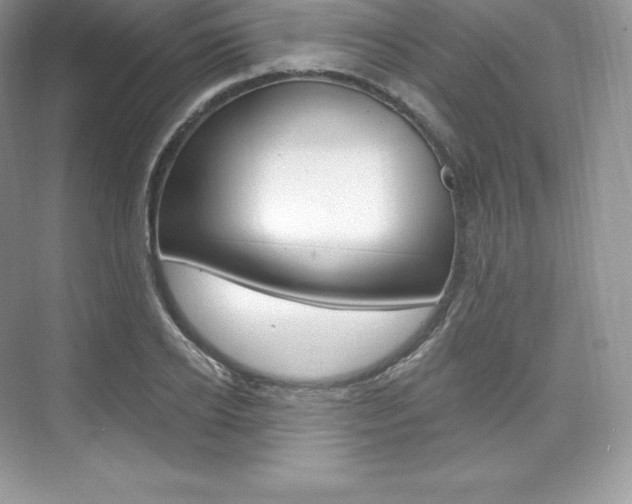 X0000073930934200608111022