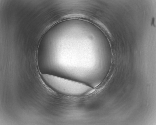 X0000073930937200608111022