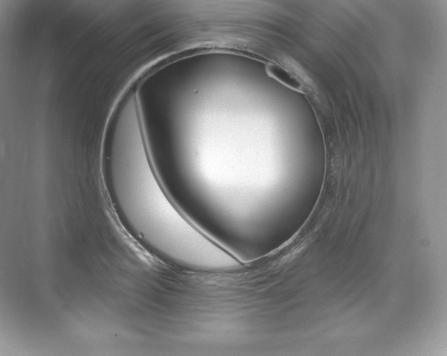 X0000073930940200608111022