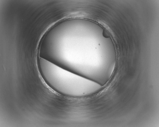 X0000073930941200608111022