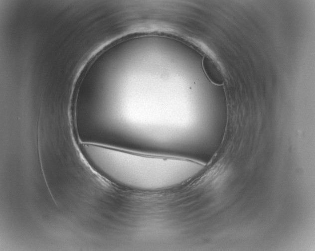 X0000073930943200608111022
