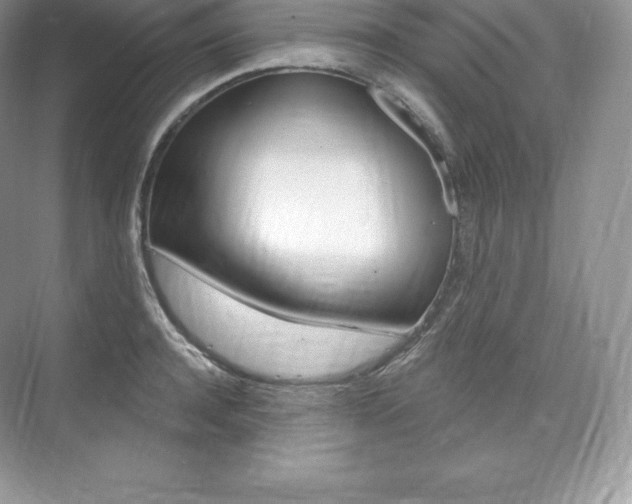 X0000073930944200608111022
