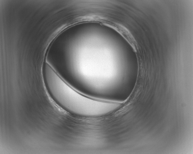 X0000073930946200608111022