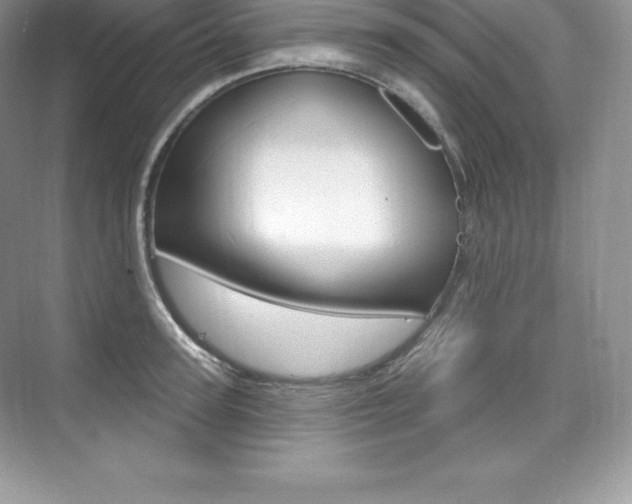 X0000073930947200608111022