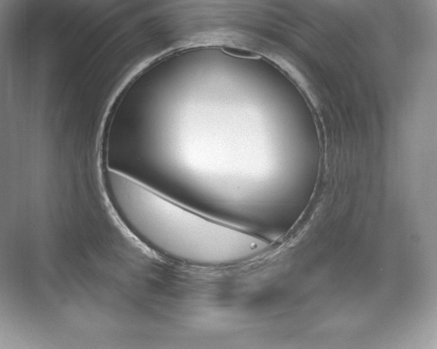X0000073930949200608111022
