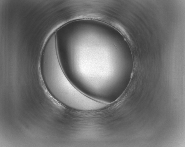 X0000073930952200608111022
