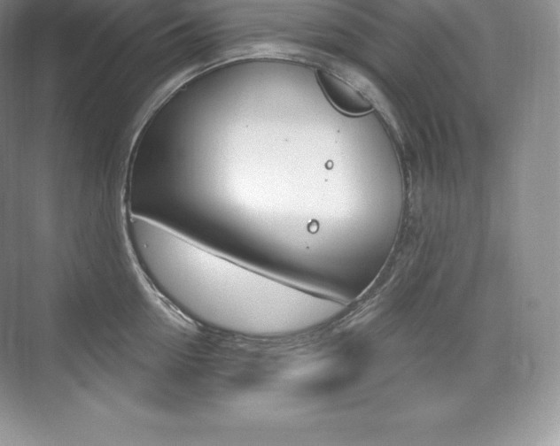 X0000073930954200608111022