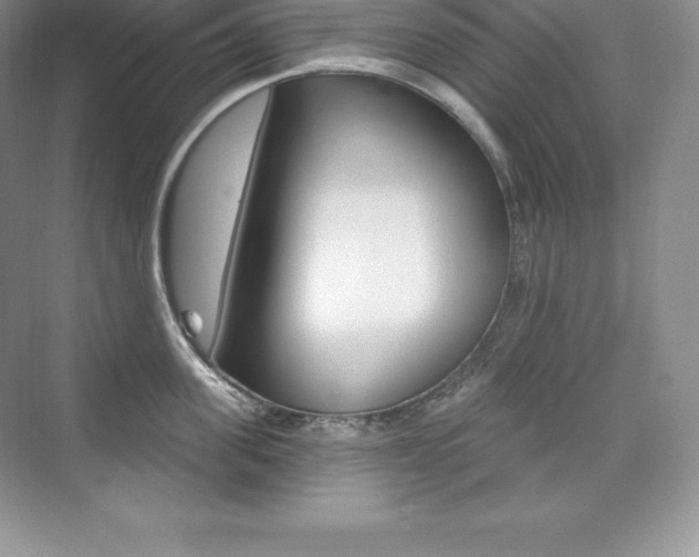 X0000073930955200608111022