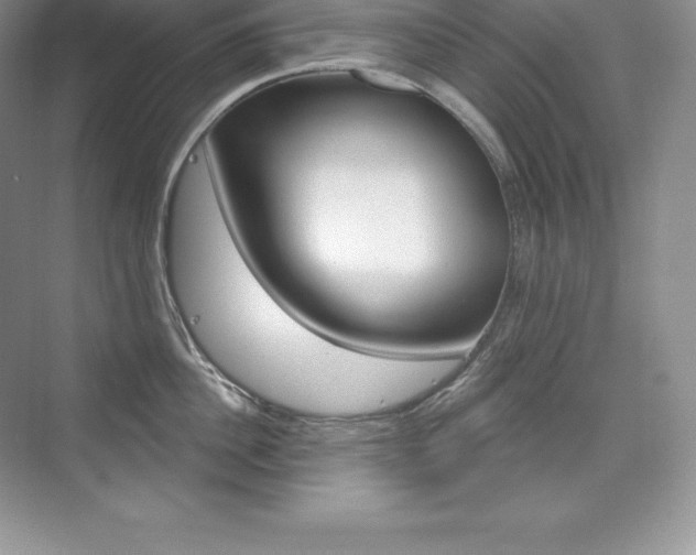 X0000073930956200608111022