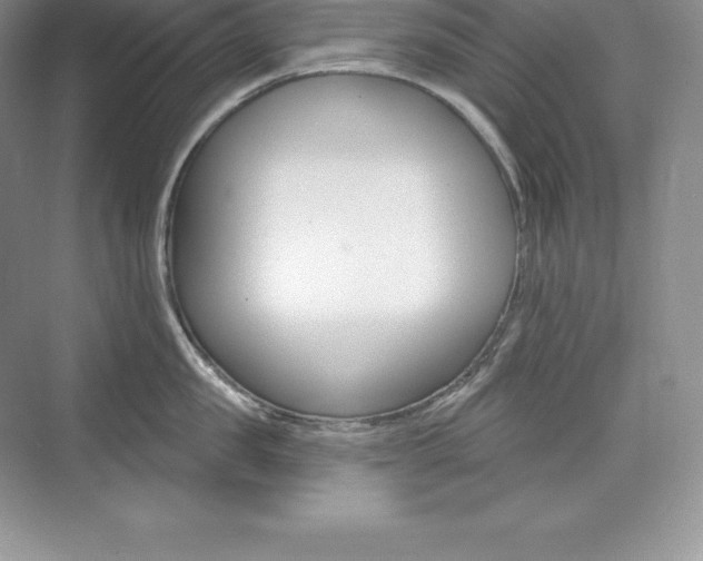 X0000073930957200608111022