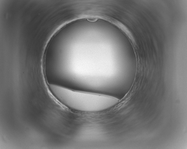 X0000073930958200608111022