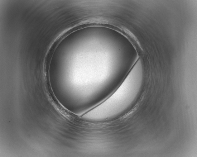 X0000073930981200608111021