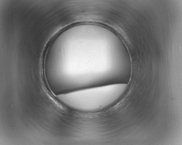 X0000073930982200608111021