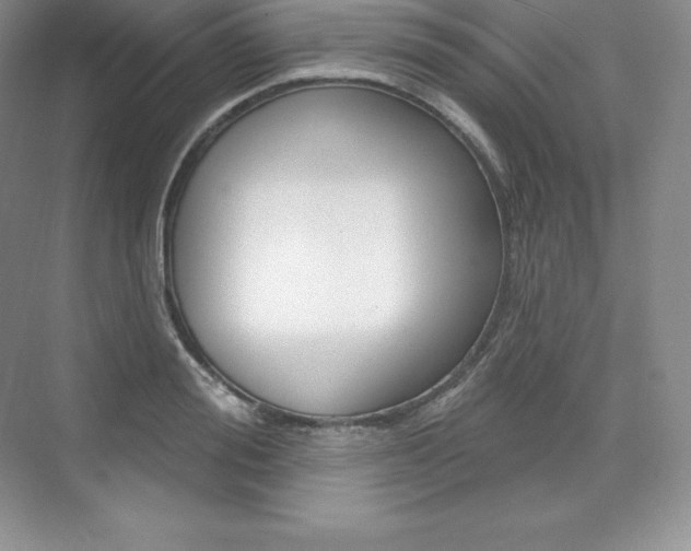 X0000073930988200608111021