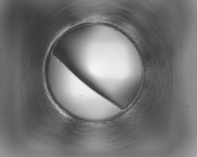 X0000073930990200608111021