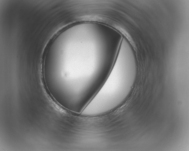 X0000073930992200608111021