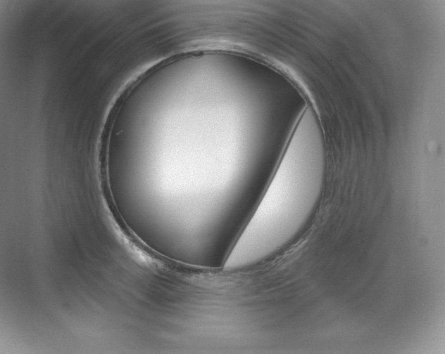 X0000073930995200608111021