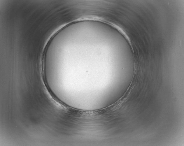 X0000073931003200608111021