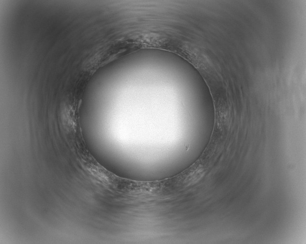 X0000073931010200608111020