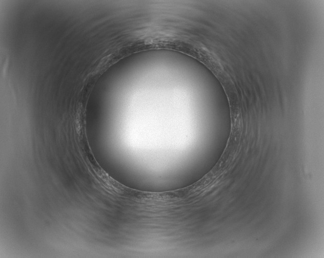 X0000073931012200608111020