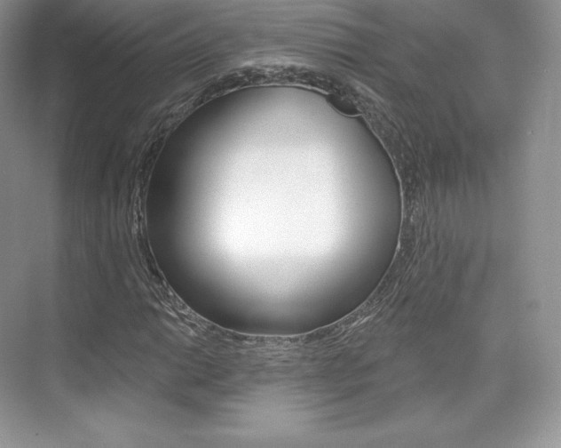 X0000073931014200608111020
