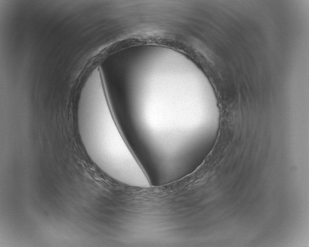 X0000073931016200608111020
