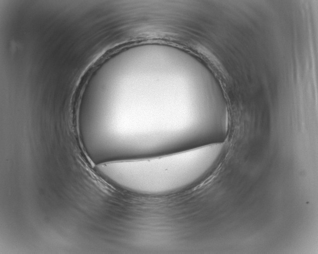 X0000073931023200608111020