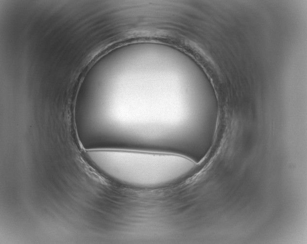 X0000073931025200608111020