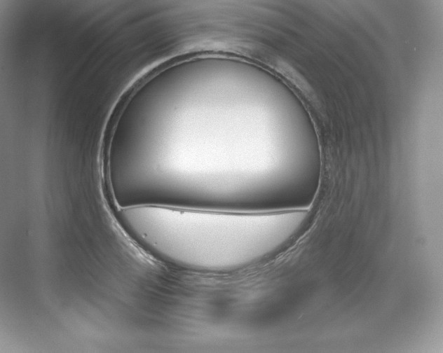 X0000073931028200608111020