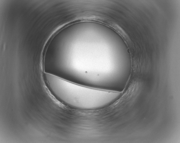 X0000073931036200608111020
