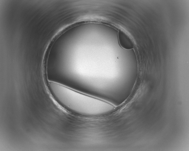X0000073931037200608111020