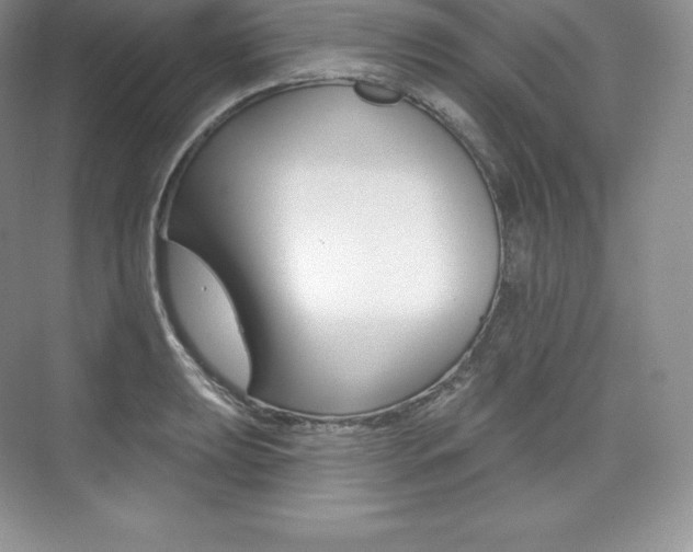 X0000073931039200608111020