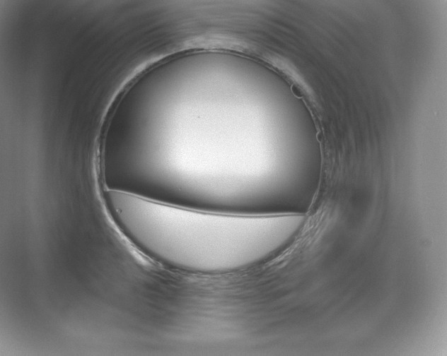 X0000073931040200608111020