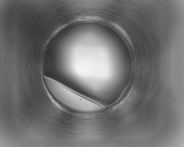 X0000073931041200608111020